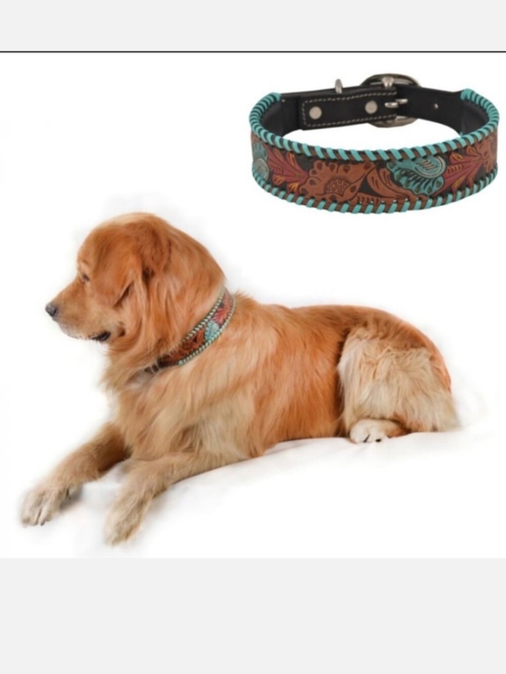 Turquoise Floral Leather Dog Collar - Stylish Pet Accessory
